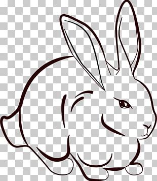 Line Art Rabbit Drawing PNG