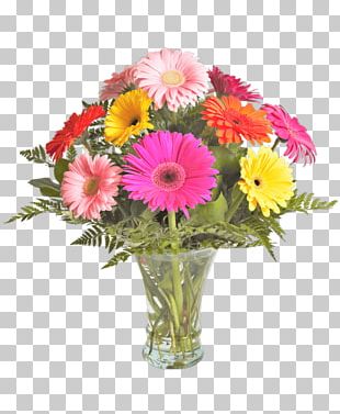 Common Daisy Flower Daisy Family Transvaal Daisy PNG, Clipart, Aster ...