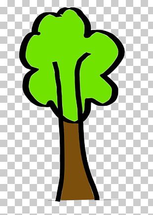 Tree PNG
