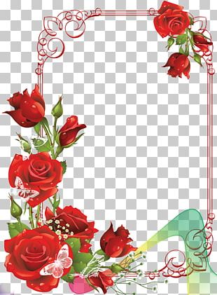 Frames Rose Stock Photography PNG, Clipart, Cut Flowers, Flora, Floral ...