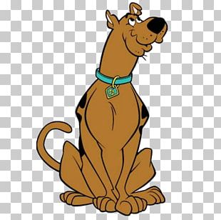 Scooby-Doo Party Birthday PNG, Clipart, Artwork, Big Cats, Birthday ...