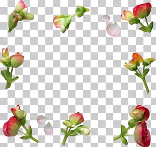 Flower International Women's Day PNG