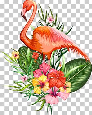 Featured image of post Flamingo Flor Tropical Png