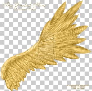 Angel Wings PNG