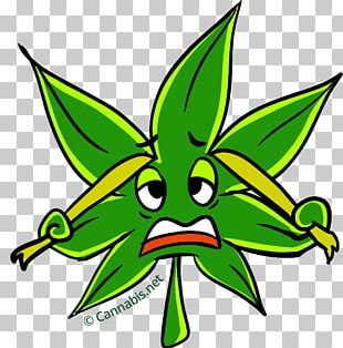 Leaf Plant Stem Drawing PNG