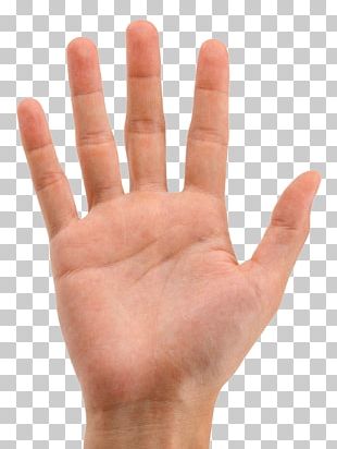 Finger Hand Digit Line PNG