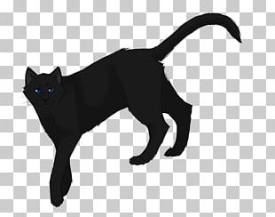 the last hope by erin hunter