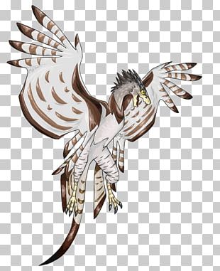 harpy eagle flying clipart