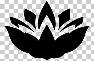 Nelumbo Nucifera PNG