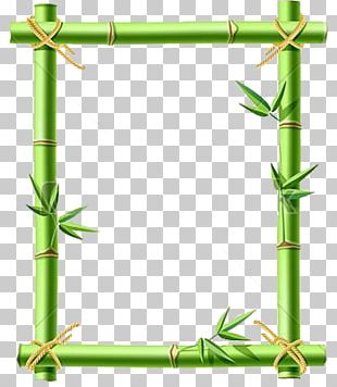 Frames Bamboo Stock Photography PNG, Clipart, Bamboo, Clip Art ...