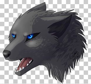 Gray Wolf Moon Coyote Red Wolf PNG, Clipart, Animal, Animals, Black And ...