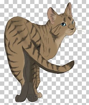 Cat The Rise Of Scourge Warriors Whiskers Erin Hunter PNG, Clipart, Animal,  Animal Figure, Animals, Carnivoran