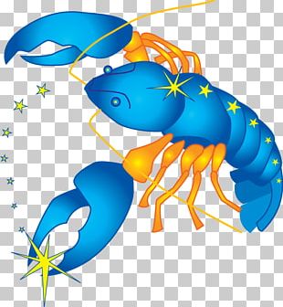 Cancer Astrological Sign Pisces Horoscope Astrology PNG