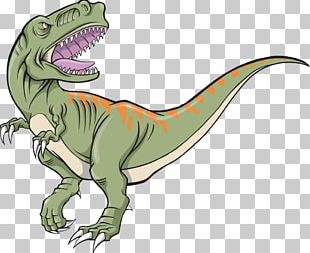 Tyrannosaurus Velociraptor Stegosaurus Dinosaur PNG, Clipart, Animal ...