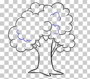 Draw Trees Cartoon Drawing PNG, Clipart, Angle, Animation, Branch ...