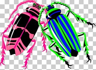 Longhorn Beetle Worm PNG