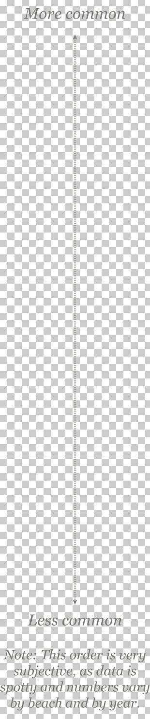 Paper Product Design Point Pattern PNG