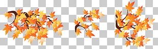 Autumn Branch PNG