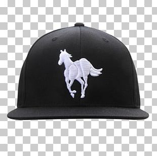 White Pony PNG Images, White Pony Clipart Free Download