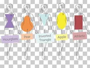 body shape calculator bust waist hips