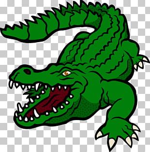 Alligators Nile Crocodile Open Illustration PNG