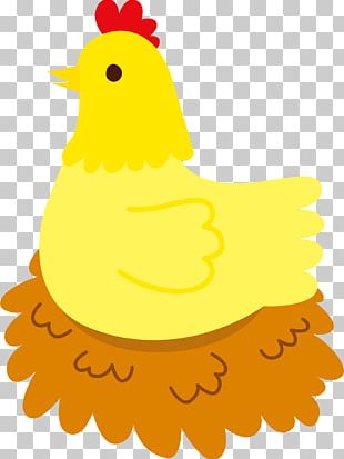 Rooster Farm Chicken Paper PNG