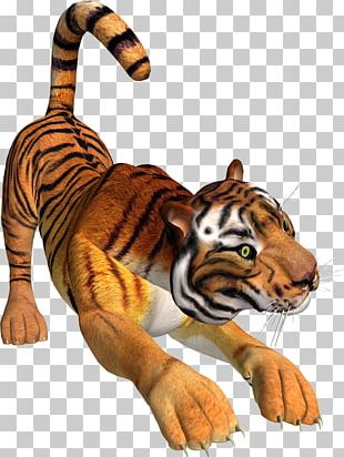 Tiger Animation Child Animal PNG, Clipart, Animals, Art, Balloon ...