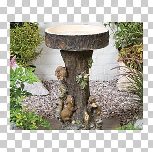 Bird Baths Fountain Garden Bathing PNG