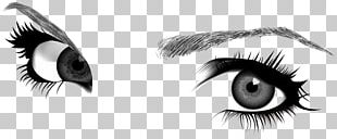 Eyebrow Drawing Euclidean PNG
