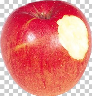 Apple Basket PNG, Clipart, Apple, Apple Fruit, Auglis, Basket, Clip Art  Free PNG Download