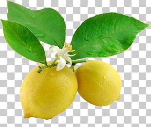 Lemon Tree PNG Images, Lemon Tree Clipart Free Download