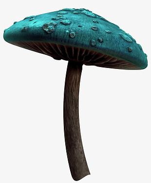 Mushroom Fairy Tale PNG