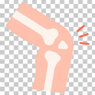 Knee Pain - Knee Joint Illustration For Health Education PNG