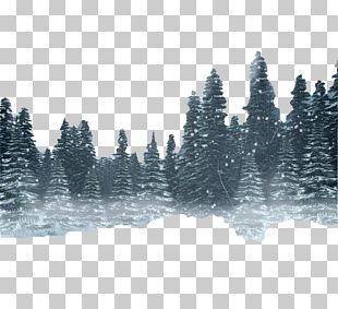 Snow Forest Png Images Snow Forest Clipart Free Download 11,871 transparent png illustrations and cipart matching forest. snow forest png images snow forest