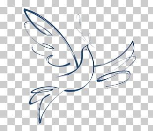 Doves As Symbols Baptism Holy Spirit First Communion Peace PNG, Clipart ...