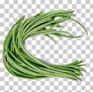 String Beans PNG Images, String Beans Clipart Free Download