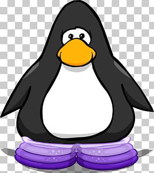 Bird Cartoon png download - 1482*1677 - Free Transparent Club Penguin png  Download. - CleanPNG / KissPNG