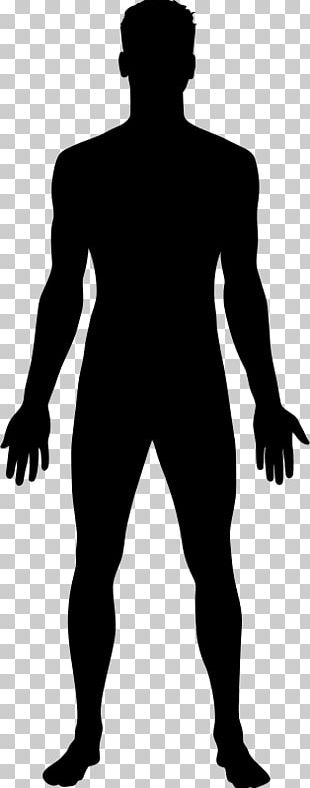 Silhouette Man Homo Sapiens PNG, Clipart, Animals, Black, Black And ...