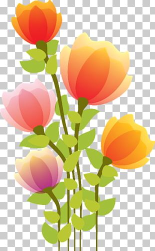 Flores PNG Images, Flores Clipart Free Download