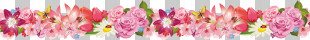 Flower Border Flower Background Floral Line PNG