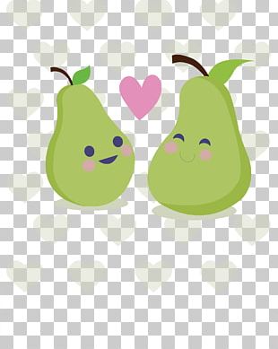 European Pear Drawing Cartoon PNG