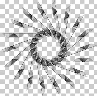Black And White Photography Optics Drawing Line Art PNG