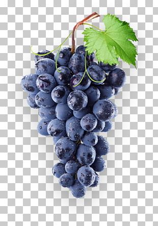 Common Grape Vine Concord Grape Wine Isabella PNG