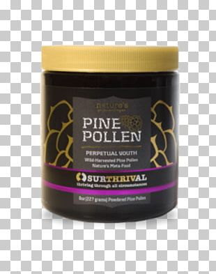 Seattle Cuba Friendship Committee Bus Interreligious - 