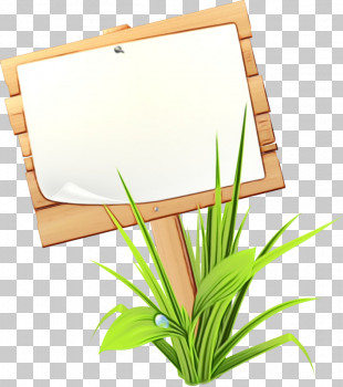 Picture Frame PNG