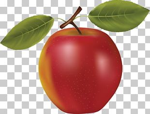Fruit PNG