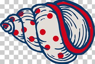 Seashell PNG