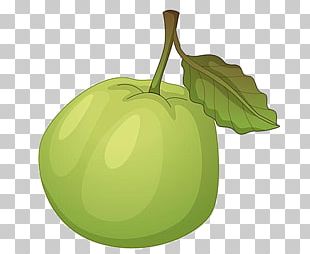 Guava Cartoon Illustration PNG, Clipart, Bank, Banking, Content