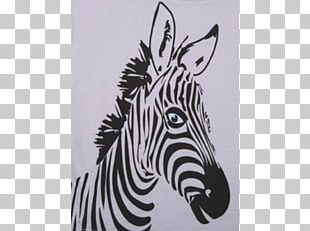 Zoe Zebra PNG Images, Zoe Zebra Clipart Free Download