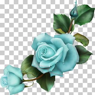 Rose Drawing Flower PNG, Clipart, Cut Flowers, Drawing, Encapsulated ...